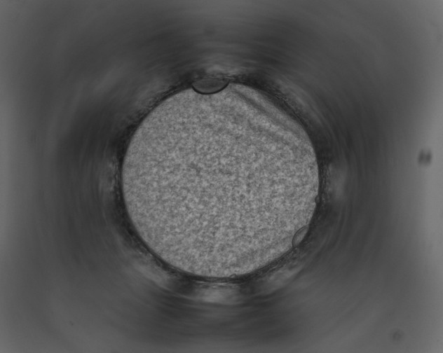 X0000092220463200710051202