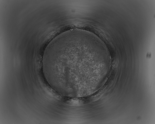 X0000092220464200710051202