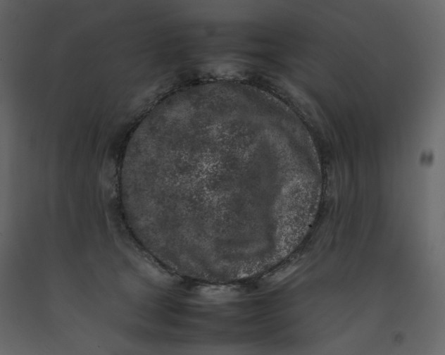 X0000092220465200710051202