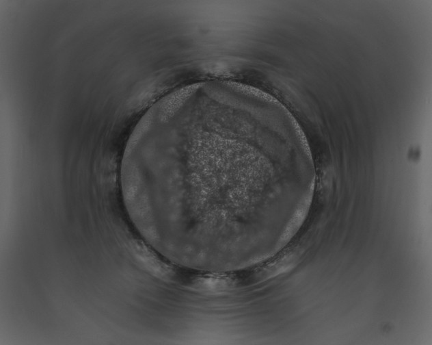 X0000092220466200710051202