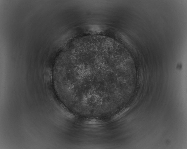 X0000092220467200710051202