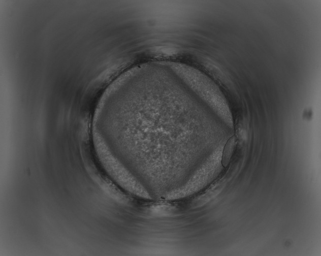 X0000092220468200710051202