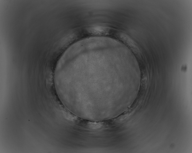X0000092220469200710051202