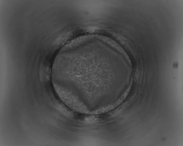 X0000092220470200710051202
