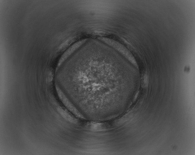X0000092220472200710051202