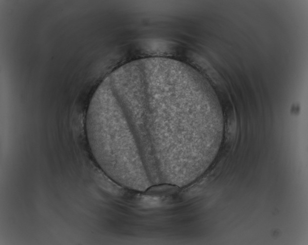 X0000092220473200710051202
