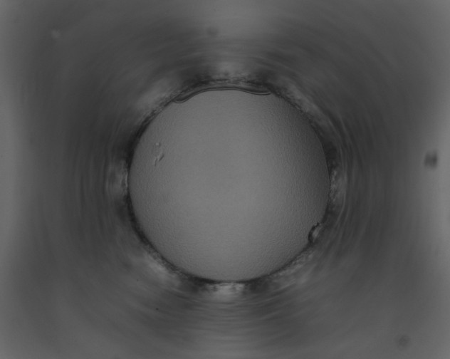 X0000092220474200710051202