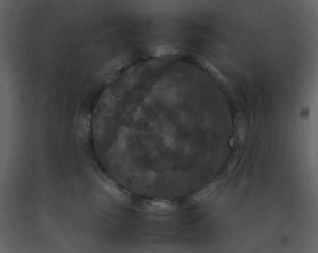 X0000092220475200710051202