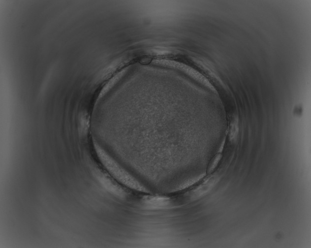 X0000092220476200710051202