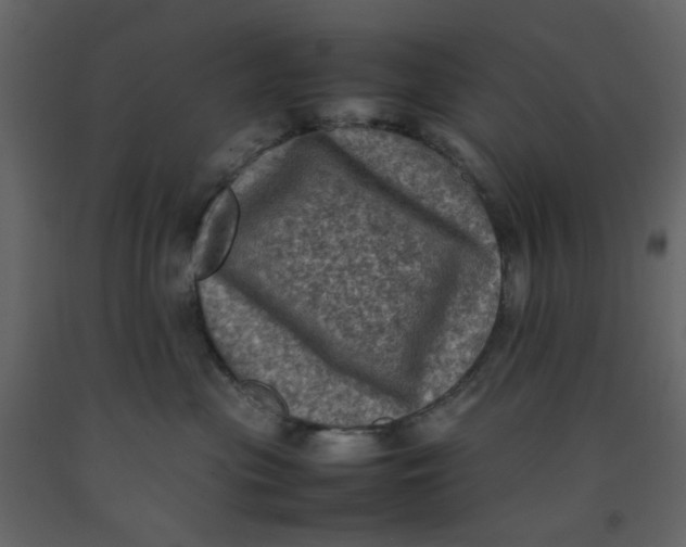 X0000092220477200710051202