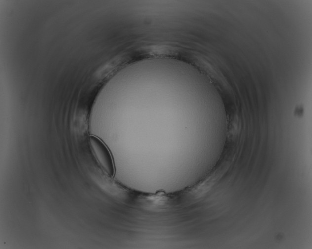 X0000092220478200710051202