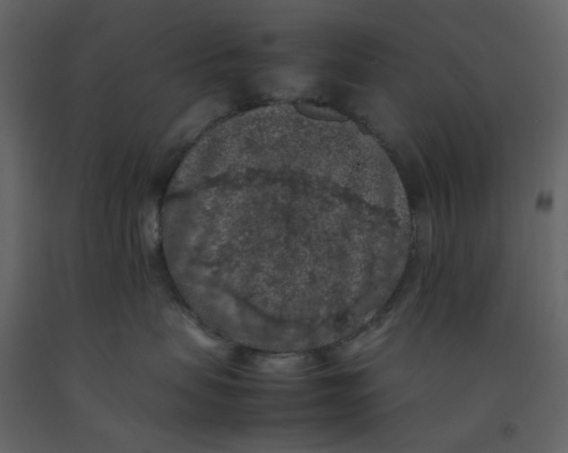 X0000092220479200710051202