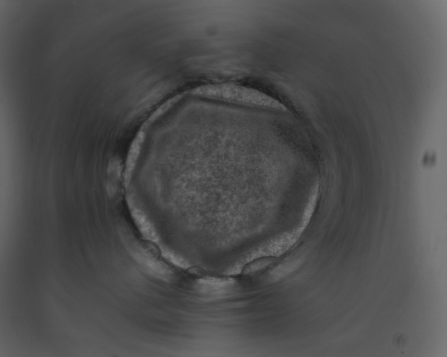 X0000092220480200710051202
