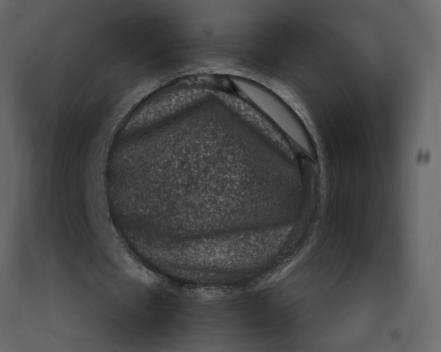 X0000092220481200710051201