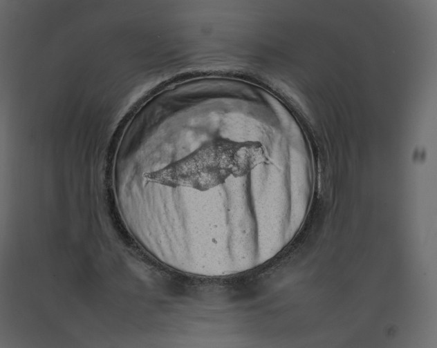 X0000092220483200710051201