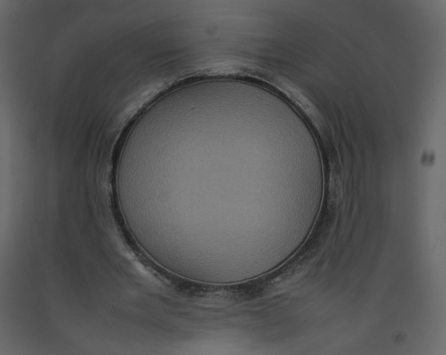 X0000092220485200710051201