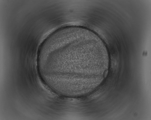 X0000092220486200710051201