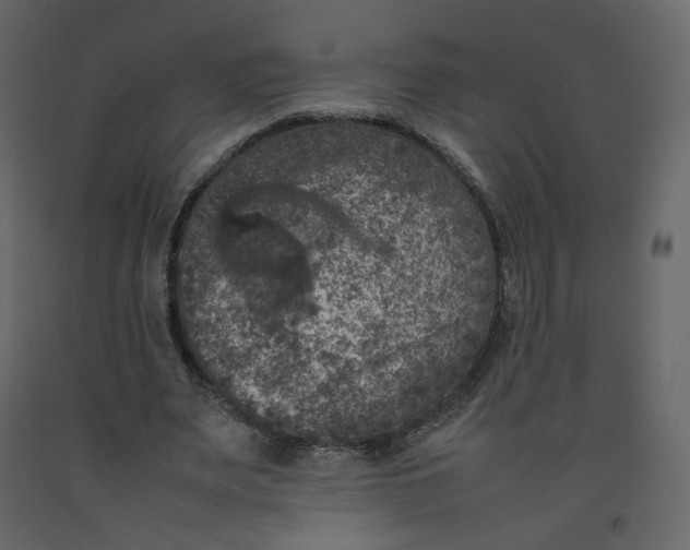 X0000092220487200710051201