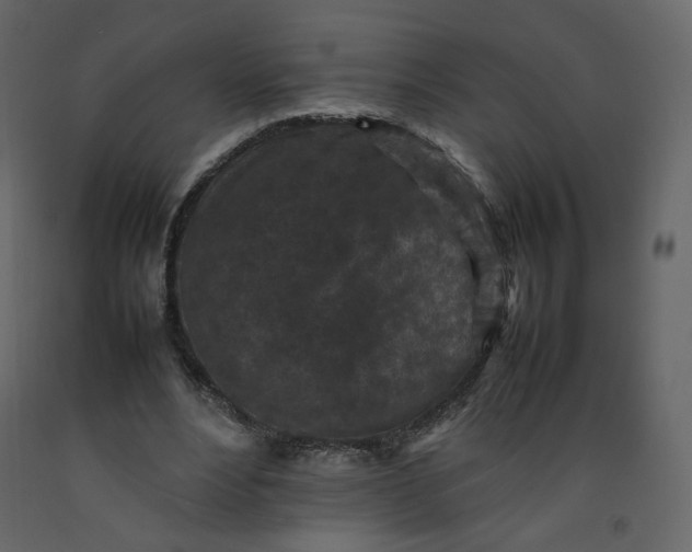 X0000092220488200710051201