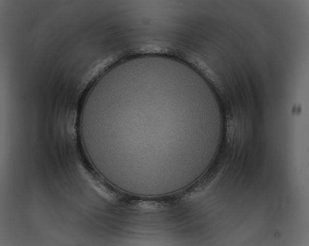 X0000092220490200710051201