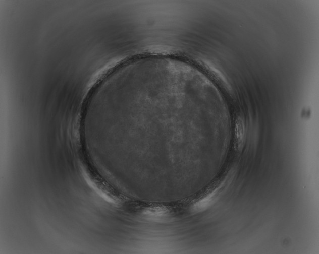 X0000092220492200710051201