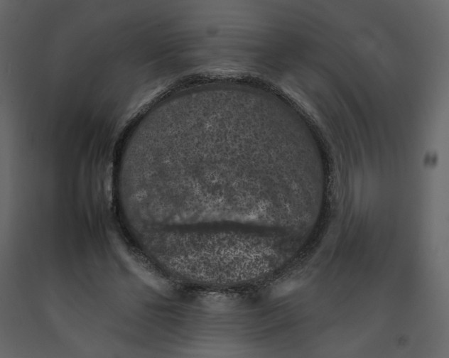 X0000092220494200710051201