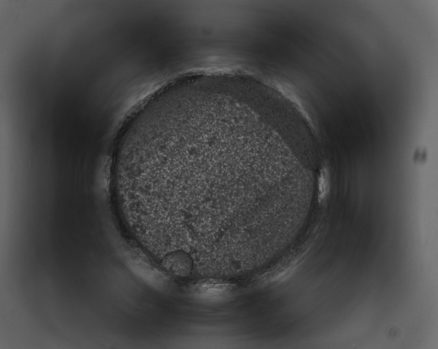 X0000092220495200710051201