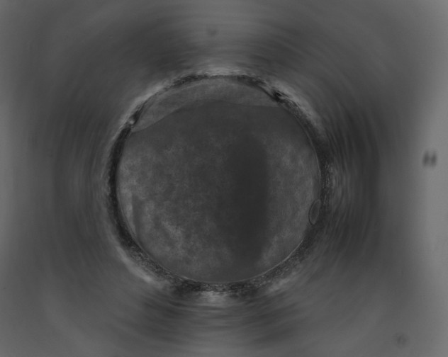 X0000092220496200710051201