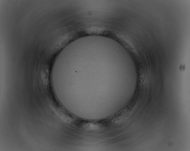 X0000092220498200710051201