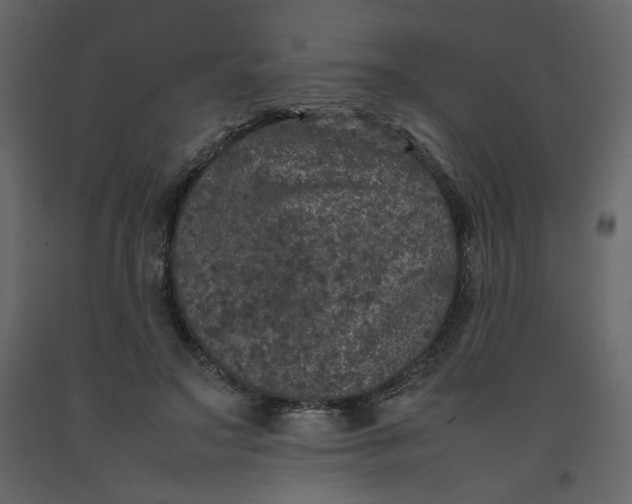 X0000092220499200710051201