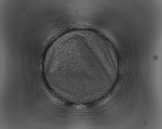 X0000092220501200710051201