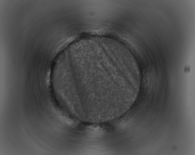 X0000092220502200710051201