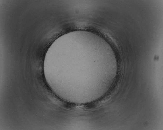 X0000092220505200710051201