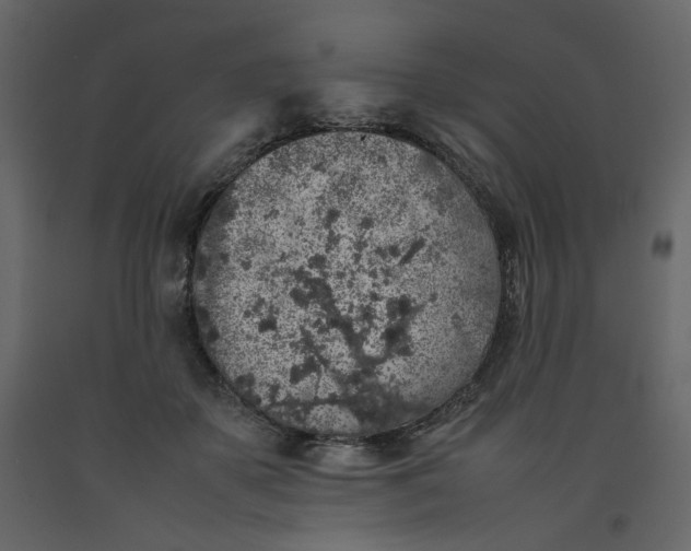 X0000092220507200710051201