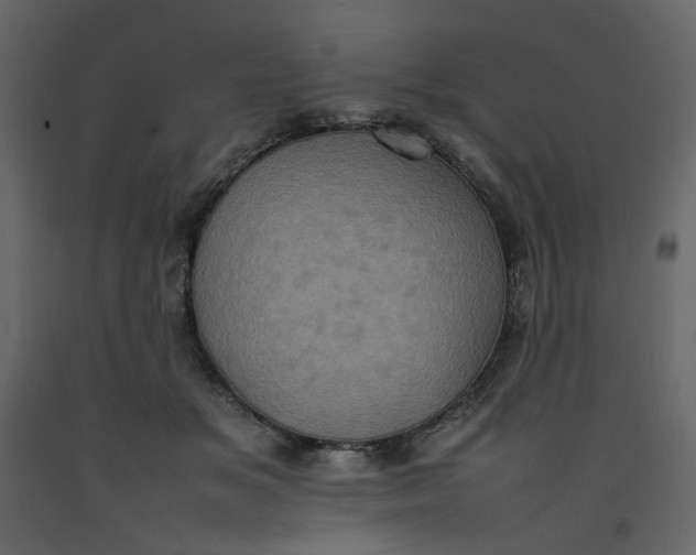 X0000092220509200710051201