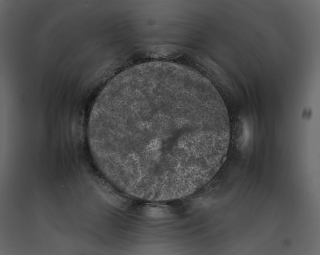 X0000092220510200710051201