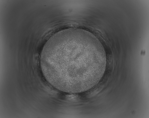 X0000092220511200710051201