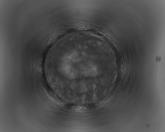 X0000092220512200710051201
