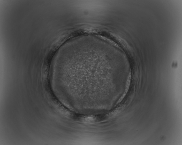 X0000092220513200710051201