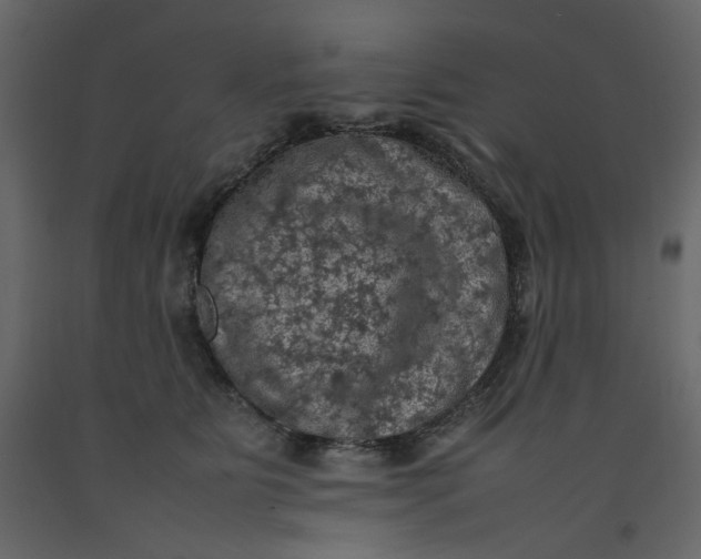 X0000092220515200710051201