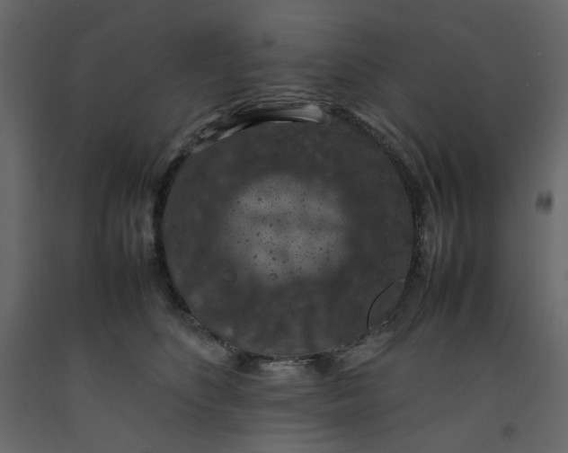 X0000092220516200710051201