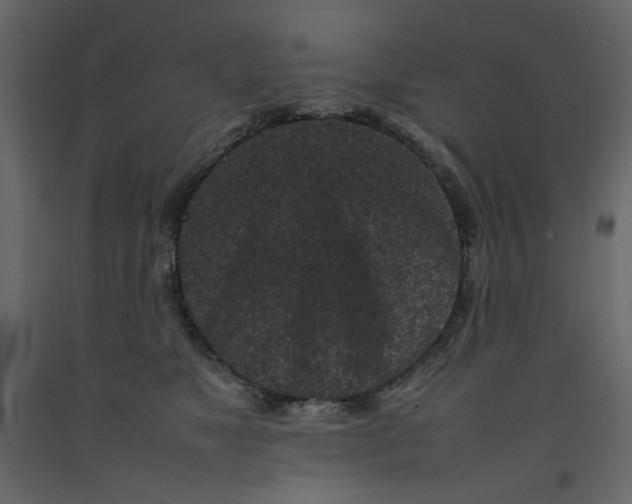 X0000092220517200710051201