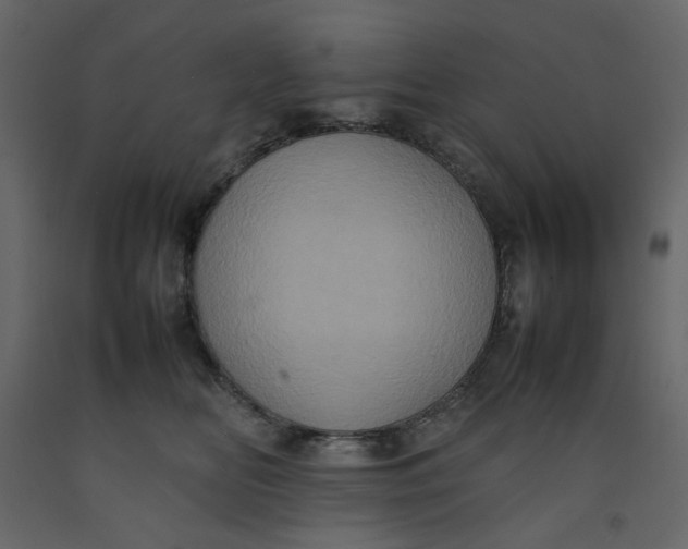 X0000092220518200710051201