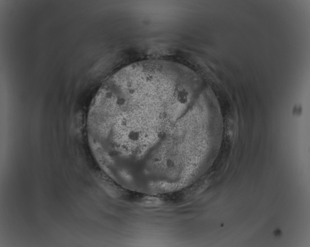 X0000092220519200710051201