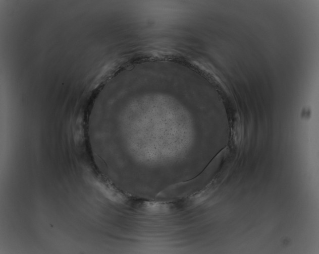 X0000092220520200710051201