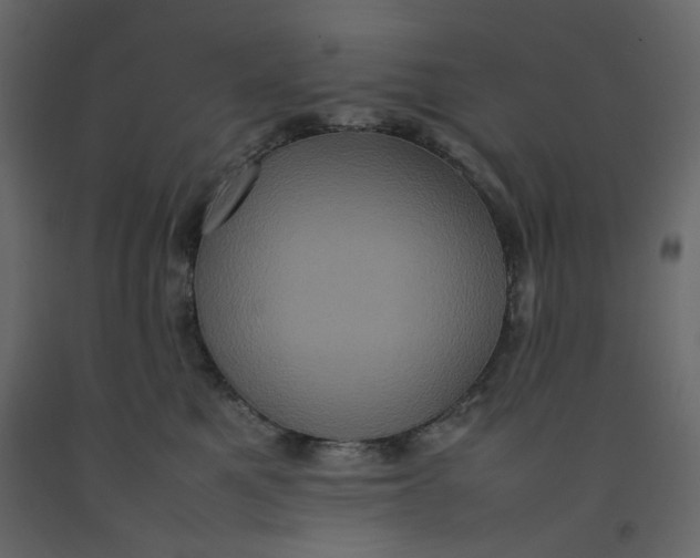 X0000092220521200710051201