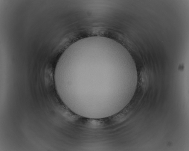 X0000092220522200710051201