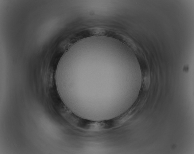 X0000092220525200710051201