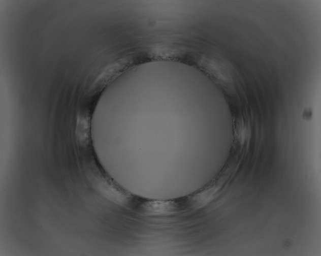 X0000092220526200710051201