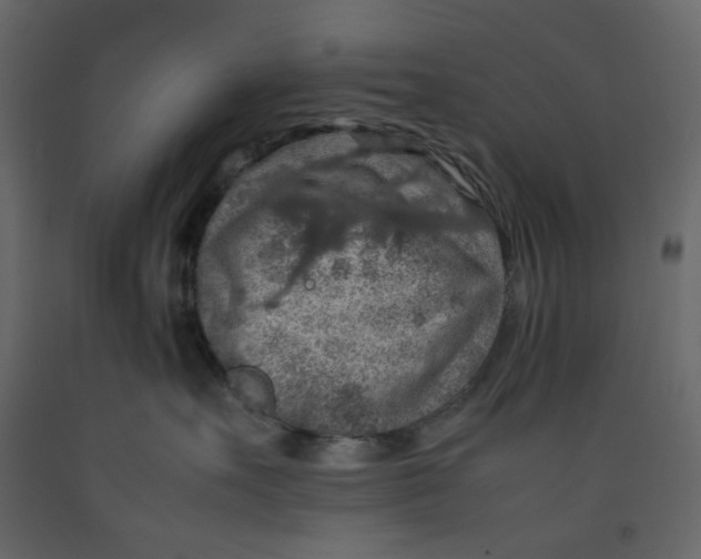 X0000092220527200710051201